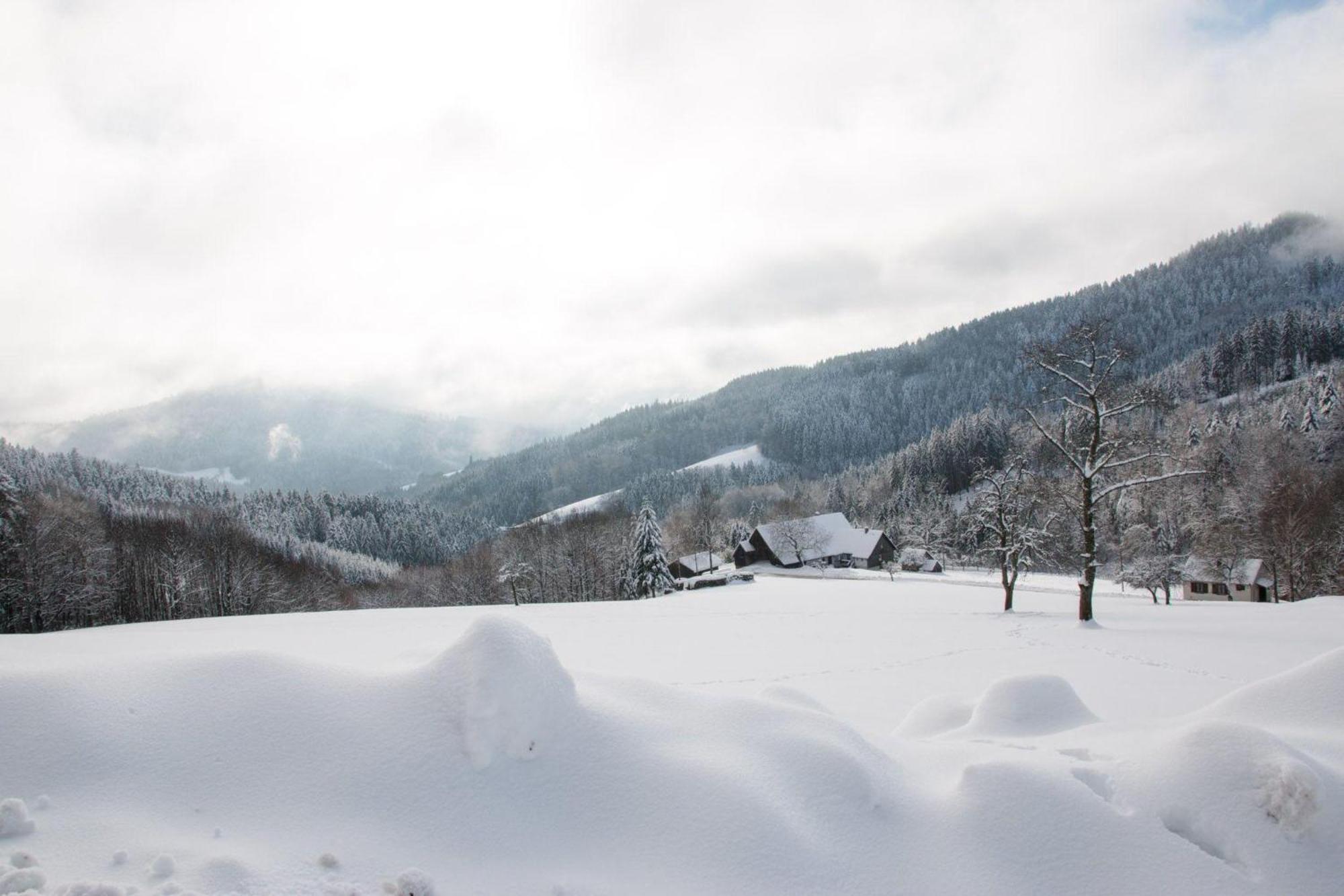 Ferienwohnung Am Kapellenberg - Am Rande Des Nationalparks Schwarzwald Bad Peterstal-Griesbach Εξωτερικό φωτογραφία