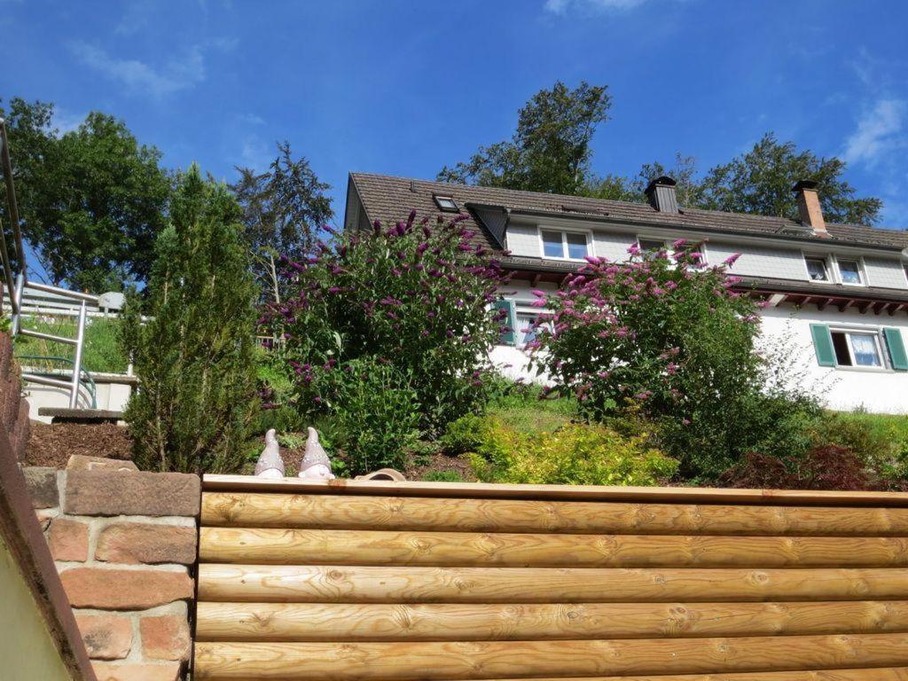 Ferienwohnung Am Kapellenberg - Am Rande Des Nationalparks Schwarzwald Bad Peterstal-Griesbach Εξωτερικό φωτογραφία