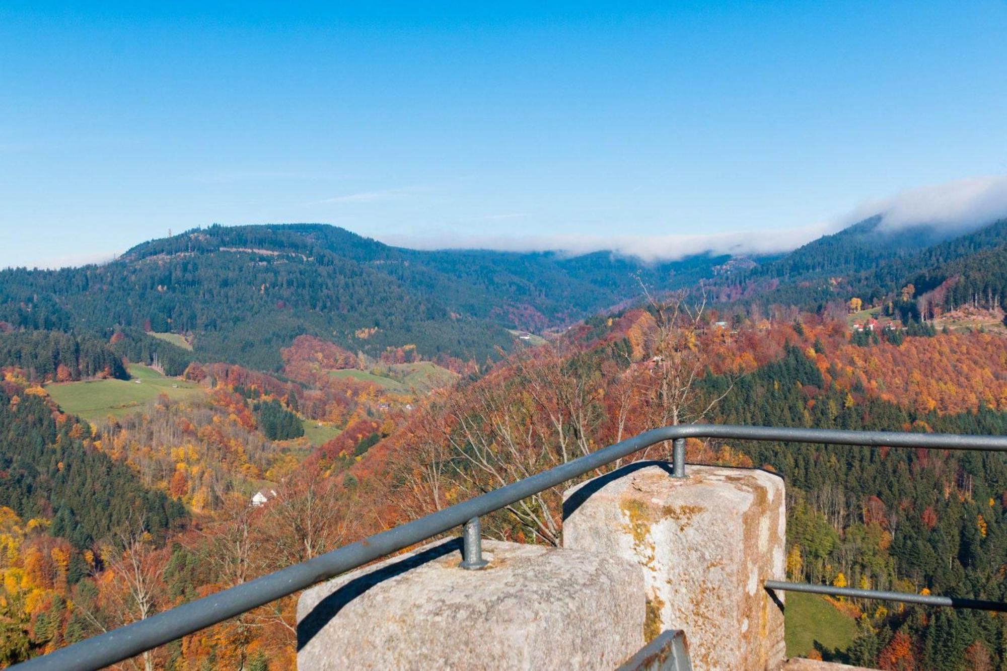 Ferienwohnung Am Kapellenberg - Am Rande Des Nationalparks Schwarzwald Bad Peterstal-Griesbach Εξωτερικό φωτογραφία