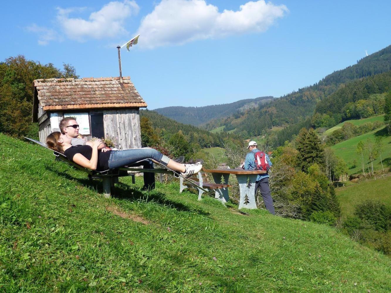 Ferienwohnung Am Kapellenberg - Am Rande Des Nationalparks Schwarzwald Bad Peterstal-Griesbach Εξωτερικό φωτογραφία