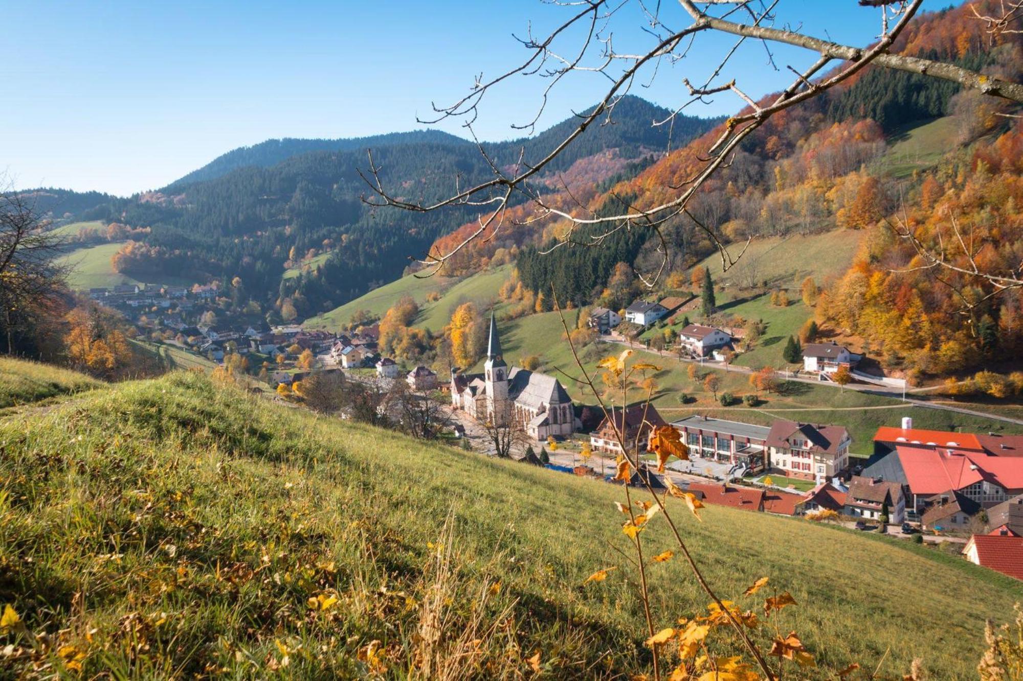 Ferienwohnung Am Kapellenberg - Am Rande Des Nationalparks Schwarzwald Bad Peterstal-Griesbach Εξωτερικό φωτογραφία