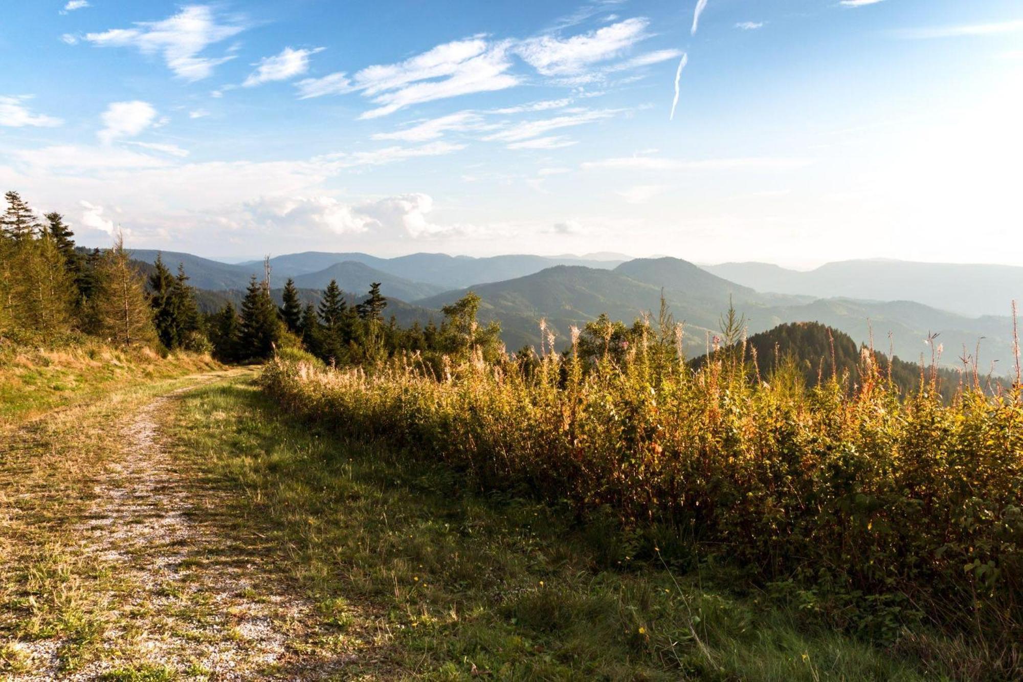 Ferienwohnung Am Kapellenberg - Am Rande Des Nationalparks Schwarzwald Bad Peterstal-Griesbach Εξωτερικό φωτογραφία